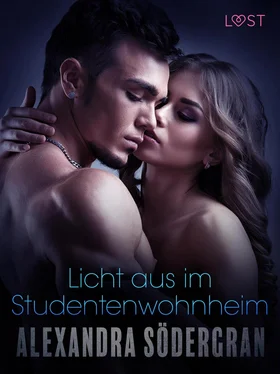Alexandra Södergran Licht aus im Studentenwohnheim: Erotische Novelle обложка книги