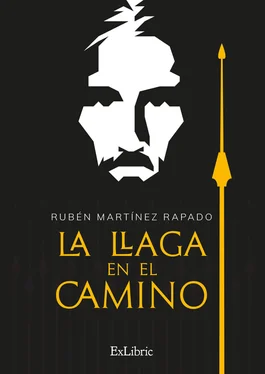 Rubén Martínez Rapado La llaga en el camino обложка книги