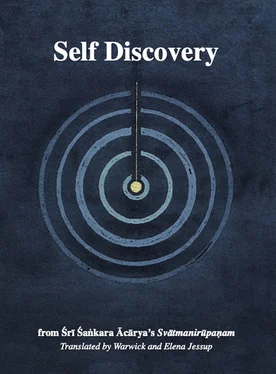 Sri Sankara Acarya Self Discovery обложка книги