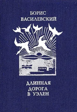 Борис Василевский Длинная дорога в Уэлен обложка книги