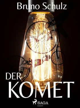 Bruno Schulz Der Komet обложка книги