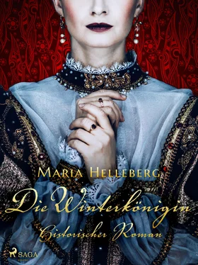 Maria Helleberg Die Winterkönigin - Ein historischer Roman обложка книги