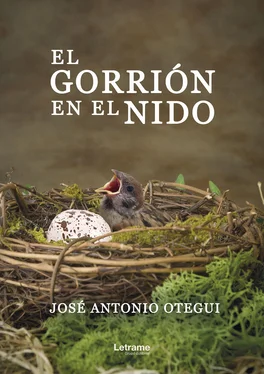 José Antonio Otegui El gorrión en el nido обложка книги