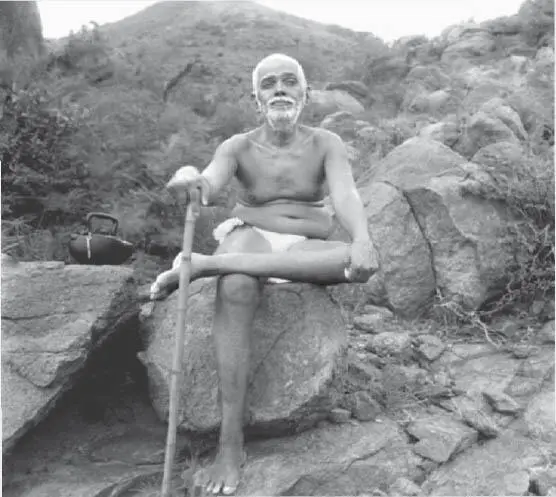Ramana Maharshi am Berg Arunachala Heute halte ich allerdings nicht Ausschau - фото 2