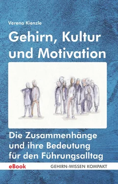 Verena Kienzle Gehirn, Kultur und Motivation обложка книги