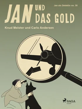 Carlo Andersen Jan und das Gold обложка книги