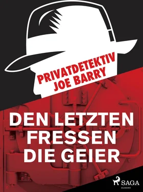 Joe Barry Privatdetektiv Joe Barry - Den letzten fressen die Geier обложка книги