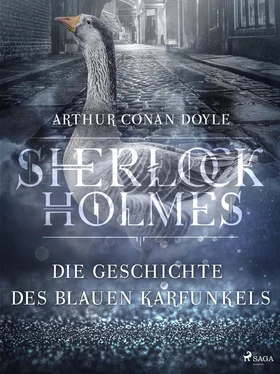 Sir Arthur Conan Doyle Die Geschichte des blauen Karfunkels обложка книги