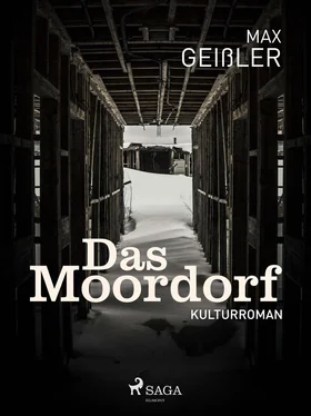 Max Geißler Das Moordorf обложка книги