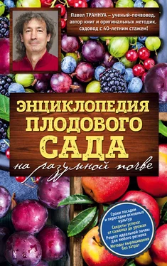 Павел Траннуа Энциклопедия плодового сада на разумной почве обложка книги