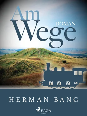 Herman Bang Am Wege обложка книги