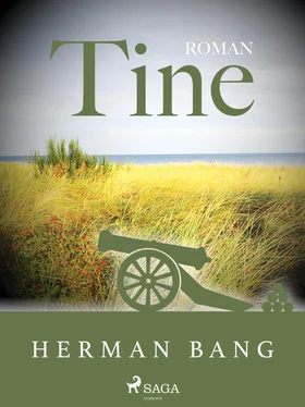 Herman Bang Tine обложка книги