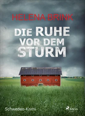 Helena Brink Die Ruhe vor dem Sturm - Schweden-Krimi обложка книги