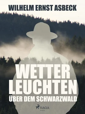 Wilhelm Ernst Asbeck Wetterleuchten über dem Schwarzwald обложка книги