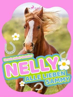 Ursula Isbel-Dotzler Nelly - Alle lieben Sammy обложка книги
