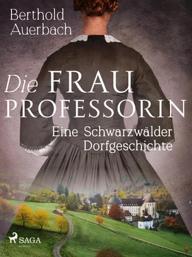 Berthold Auerbach Die Frau Professorin. Eine Schwarzwälder Dorfgeschichte обложка книги
