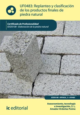 Tecnología e Investigación S.L. Asesoramiento Replanteo y clasificación de los productos finales en piedra natural. IEXD0108 обложка книги