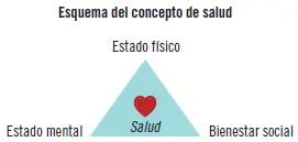 Según la OMS la saludes el estado completo de bienestar físico mental y - фото 1