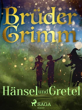 Brüder Grimm Hänsel und Gretel обложка книги