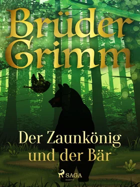 Brüder Grimm Der Zaunkönig und der Bär обложка книги