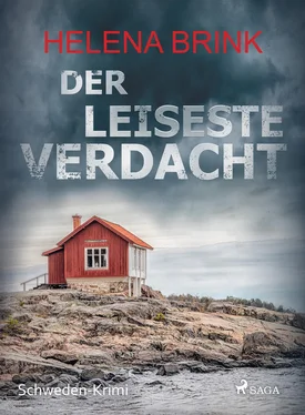 Helena Brink Der leiseste Verdacht - Schweden-Krimi обложка книги