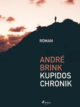 Andre Brink Kupidos Chronik обложка книги