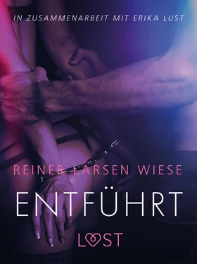 Reiner Larsen Wiese Entführt: Erika Lust-Erotik обложка книги