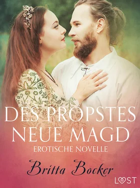 Britta Bocker Des Propstes neue Magd: Erotische Novelle обложка книги