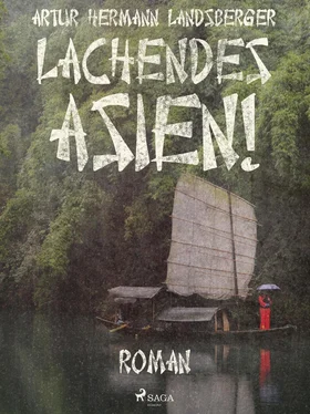 Artur Hermann Landsberger Lachendes Asien! обложка книги