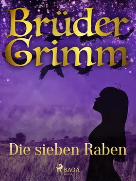 Brüder Grimm Die sieben Raben обложка книги