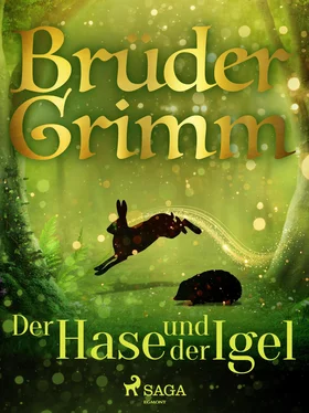 Brüder Grimm Der Hase und der Igel обложка книги