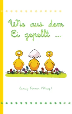 Sandy Penner Wie aus dem Ei gepellt ... обложка книги