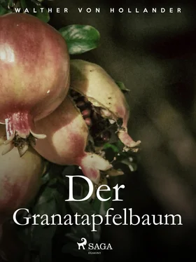 Walther von Hollander Der Granatapfelbaum обложка книги