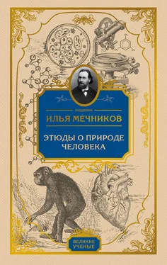 Илья Мечников Этюды о природе человека обложка книги