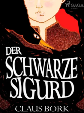 Claus Bork Der schwarze Sigurd обложка книги