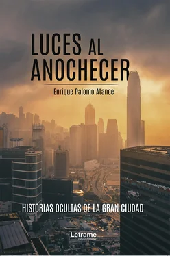 Enrique Palomo Atance Luces al anochecer обложка книги