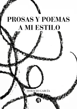 Horacio García Prosas y poemas a mi estilo обложка книги