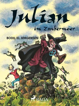 Bodil El Jørgensen Julian im Zaubermoor обложка книги