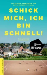 Ilja Behnisch - Schick mich, ich bin schnell!