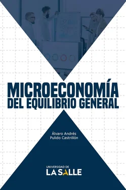 Álvaro Andrés Pulido Castrillón Microeconomía del equilibrio general обложка книги