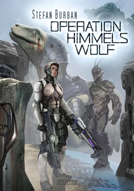 Stefan Burban Der Ruul-Konflikt 15: Operation Himmelswolf обложка книги