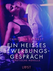 Christina Tempest - Ein heißes Bewerbungsgespräch - Erotische Novelle