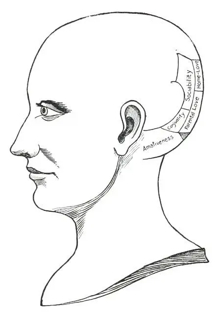 Fig 5 THE EMOTIVE QUALITIES AMATIVENESS This Quality manifests in a strong - фото 7