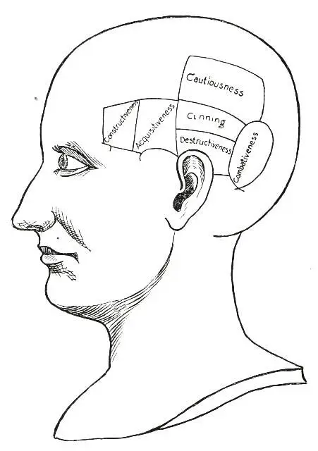 Fig 3 THE MOTIVE QUALITIES COMBATIVENESS This Quality manifests in a strong - фото 5