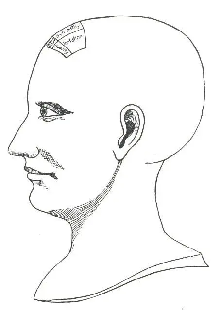 Fig 8 THE RELATIVE QUALITIES Human Nature This Quality manifests in a strong - фото 10