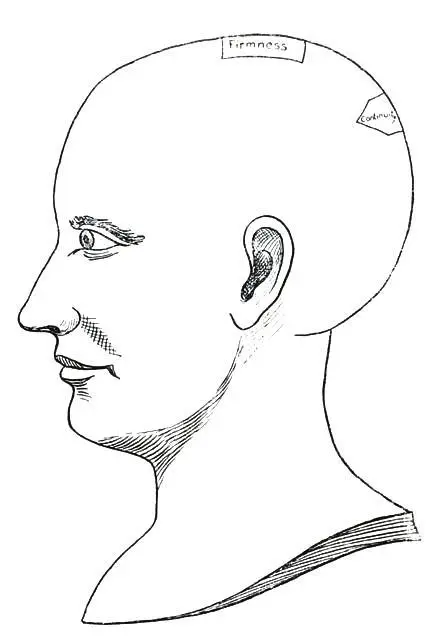 Fig 6 THE APPLICATIVE QUALITIES FIRMNESS This Quality manifests in a strong - фото 8