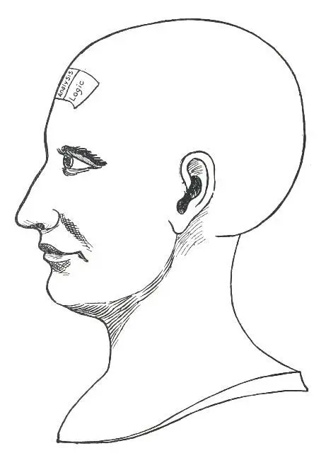 Fig 10 THE REFLECTIVE QUALITIES ANALYSIS This Quality manifests in a strong - фото 12