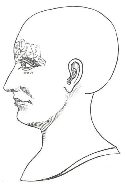 Fig 9 THE PERCEPTIVE QUALITIES OBSERVATION This Quality was given the name of - фото 11