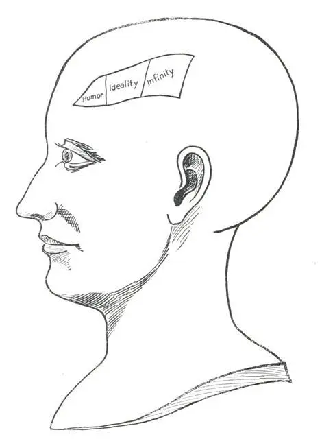 Fig 7 THE MODIFICATIVE QUALITIES Spurzheim says of it A poetic turn of mind - фото 9