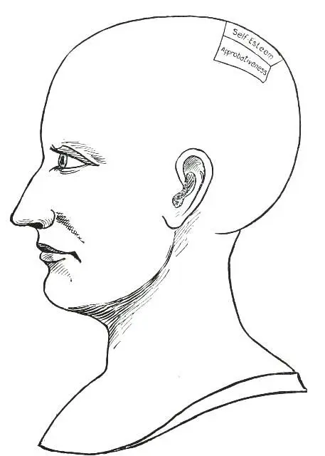 Fig 2 THE EGOISTIC QUALITIES SELFESTEEM This Quality manifests in a strong - фото 4